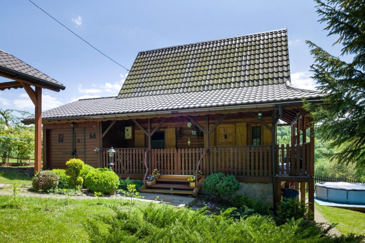 Andrzejowka Villa Kocon ภายนอก รูปภาพ